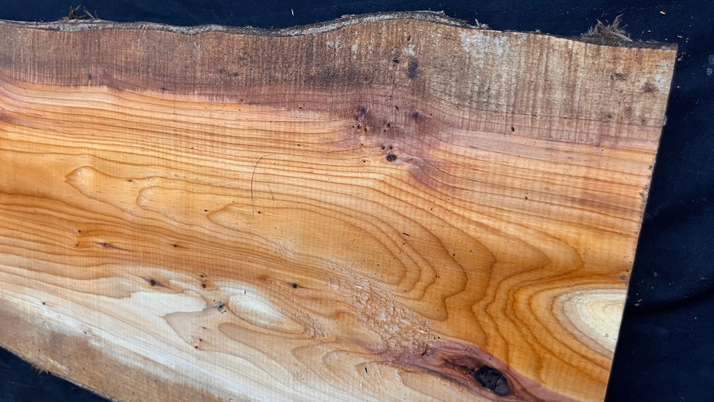 Yew, slab, shelf, mantle, board 818 L x 211 W x 28 D mm    (778)