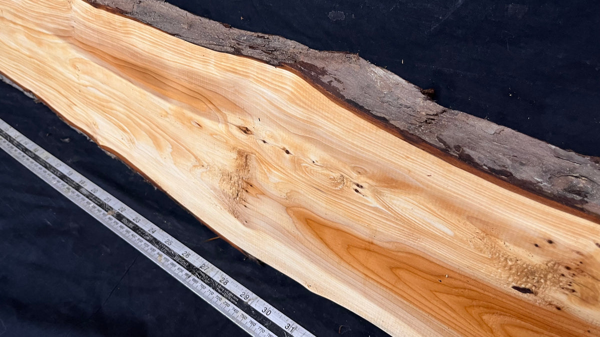 Yew, slab, shelf, mantle, board 1094 L x 203 W x 28 D mm    (779)