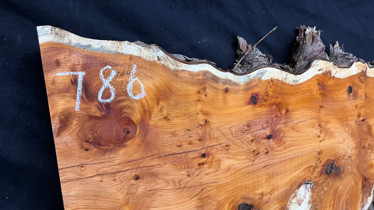 Coffee table top, yew, slab, board 908 L x 364 W x 46 D mm    (786)