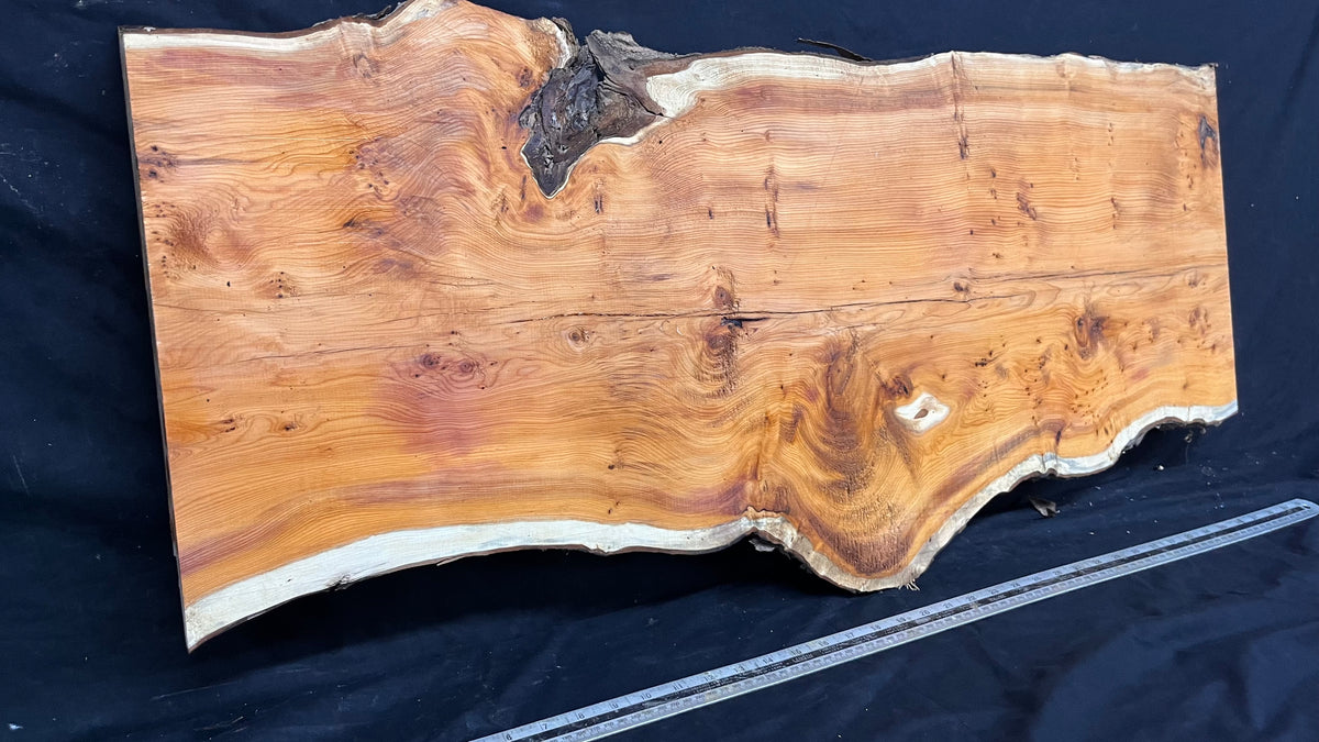 Coffee table top, yew, slab, board 1013 L x 431 W x 46 D mm    (787)
