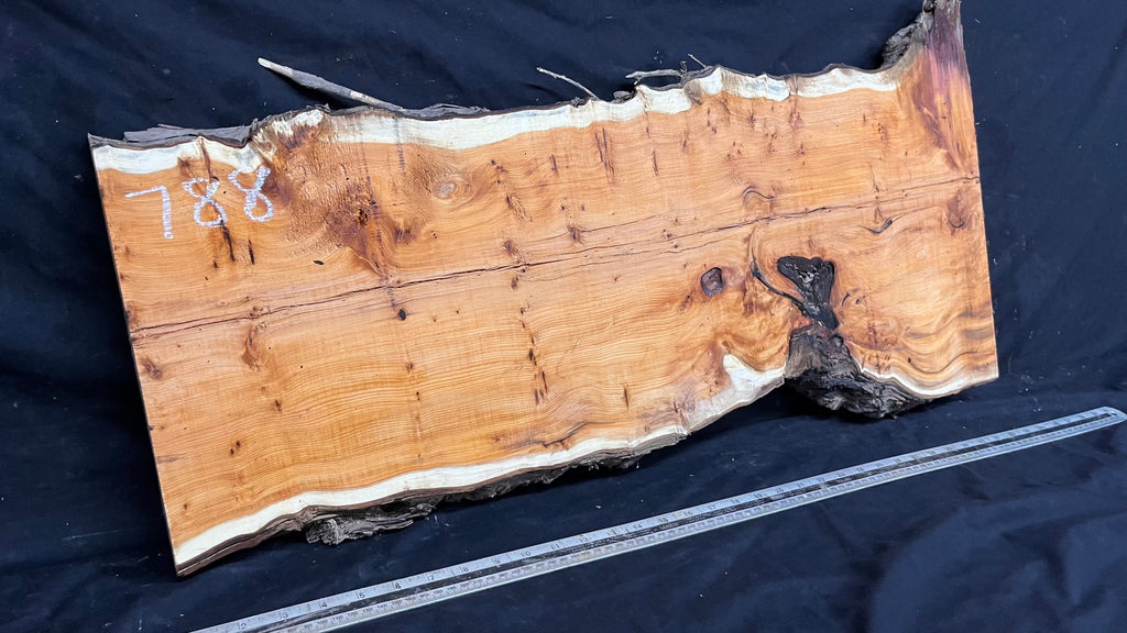 Coffee table top, yew, slab, board 848 L x 427 W x 46 D mm    (788)