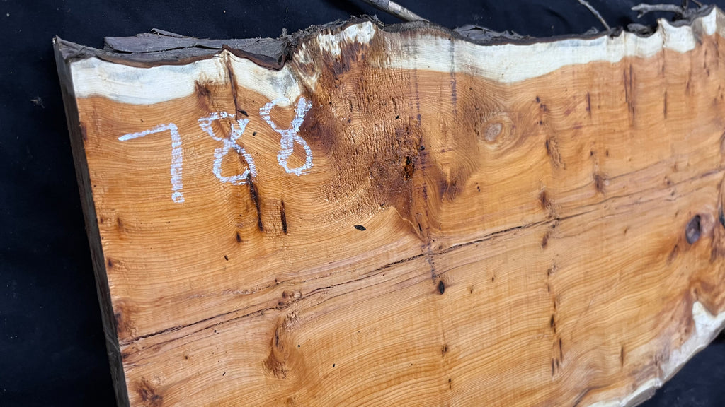 Coffee table top, yew, slab, board 848 L x 427 W x 46 D mm    (788)