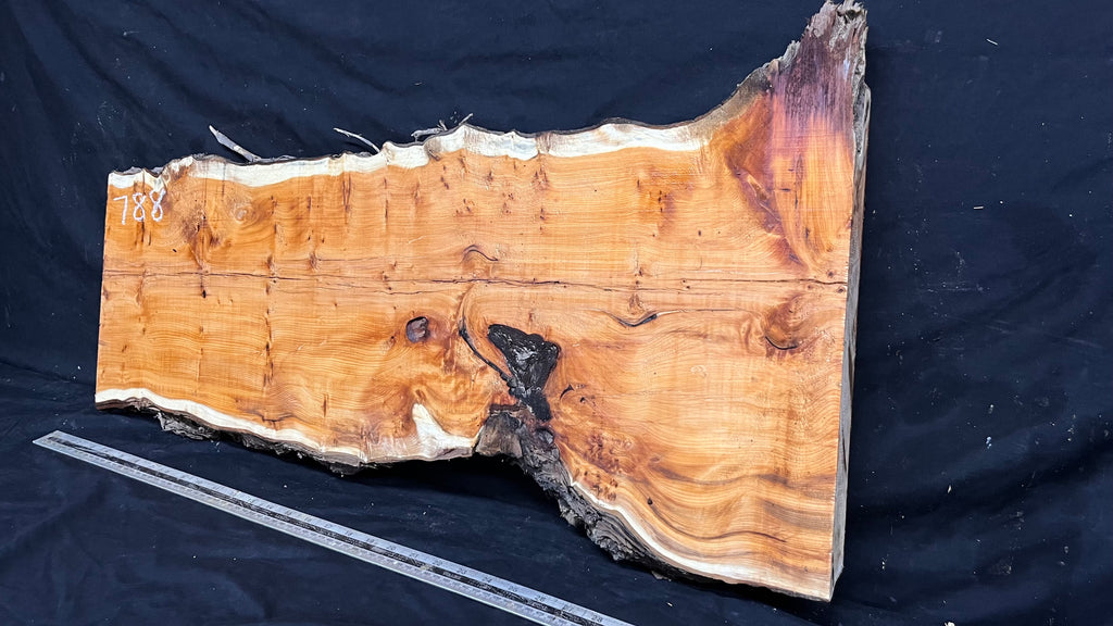 Coffee table top, yew, slab, board 848 L x 427 W x 46 D mm    (788)