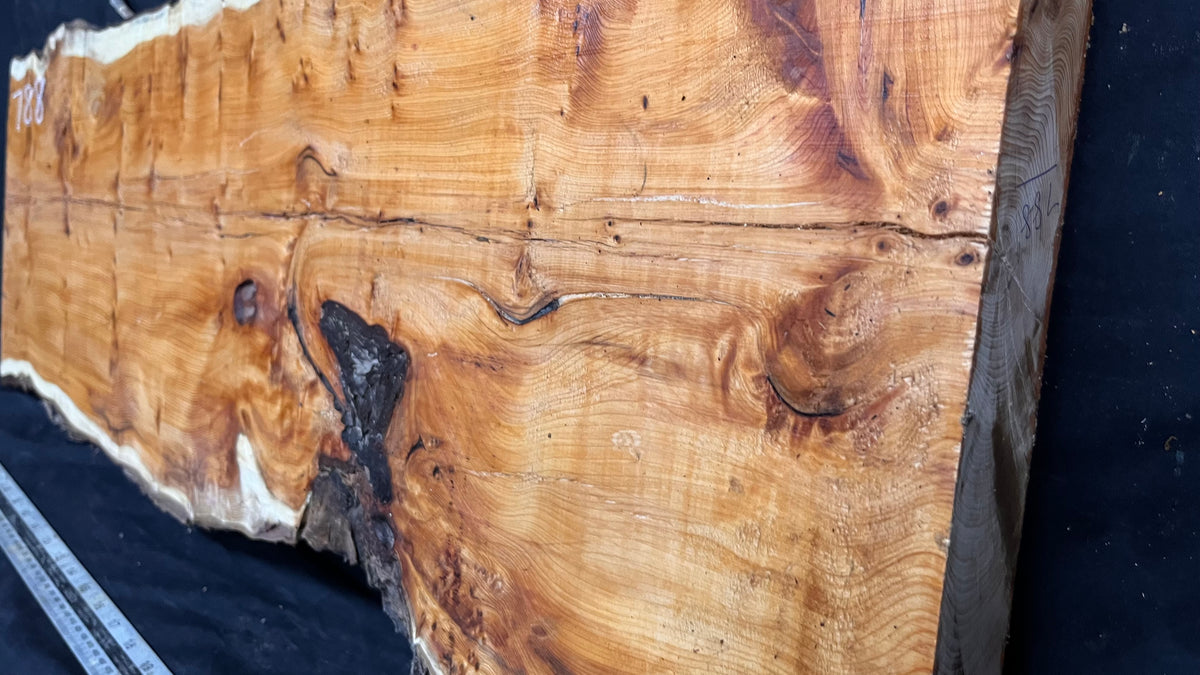 Coffee table top, yew, slab, board 848 L x 427 W x 46 D mm    (788)
