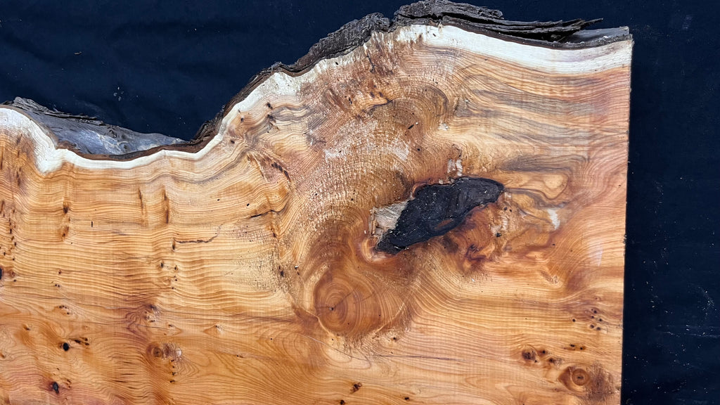 Coffee table top, yew, slab, board 848 L x 427 W x 46 D mm    (788)