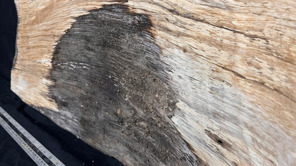 Resin table project, rippled hornbeam 871 L x 351 W x 31 D mm          (792)