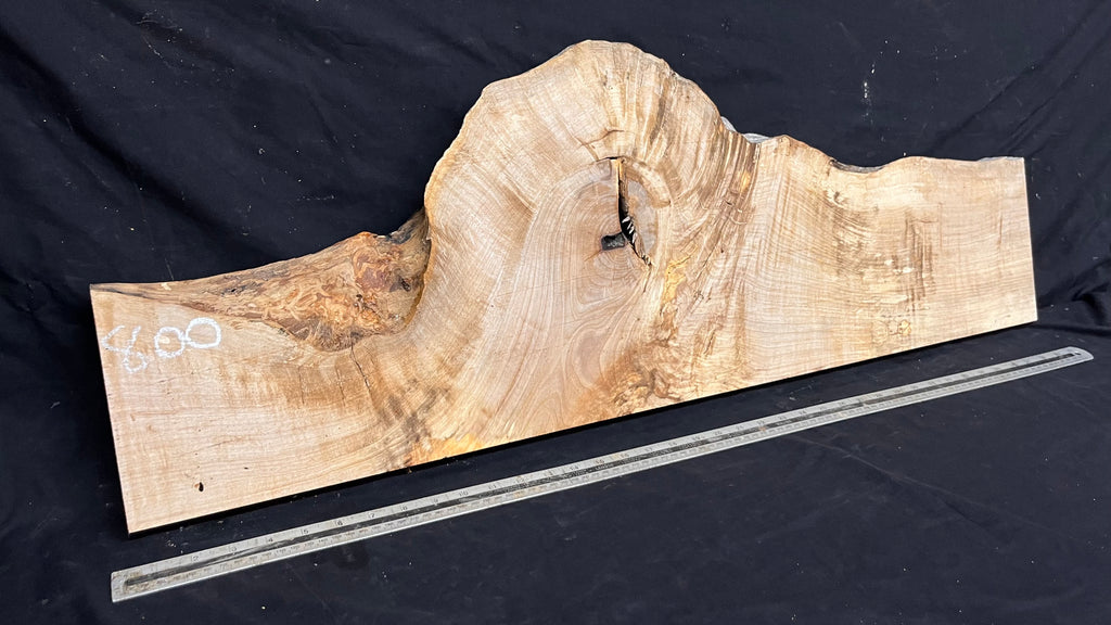 Shelving, shelf, ledge, rippled hornbeam 1021 L x 347 W x 32 D mm          (800)