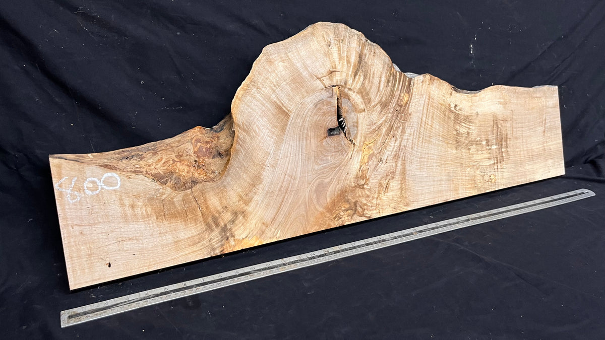 Shelving, shelf, ledge, rippled hornbeam 1021 L x 347 W x 32 D mm          (800)