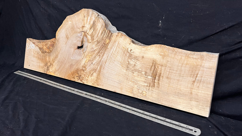 Shelving, shelf, ledge, rippled hornbeam 1021 L x 347 W x 32 D mm          (800)
