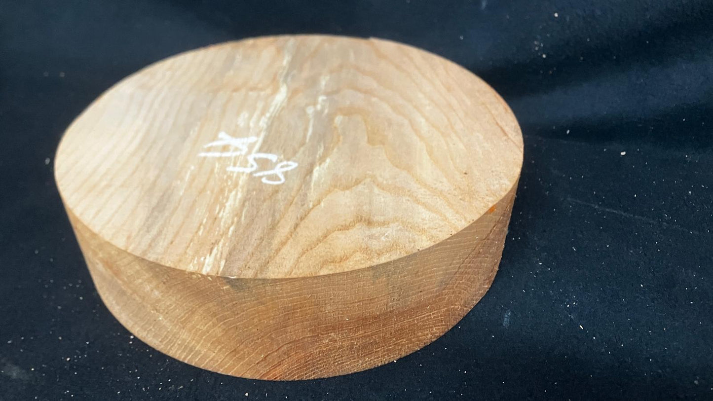 A Grade dry 12.5" x 3.5" olive ash, large wood turning blank  (854)