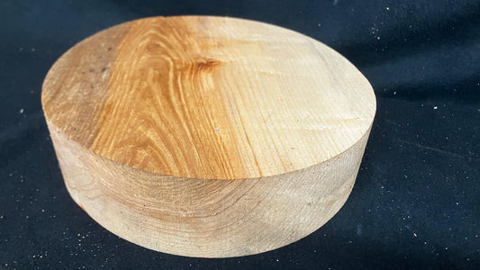 A Grade dry 12.5" x 3.5" olive ash, large wood turning blank  (854)
