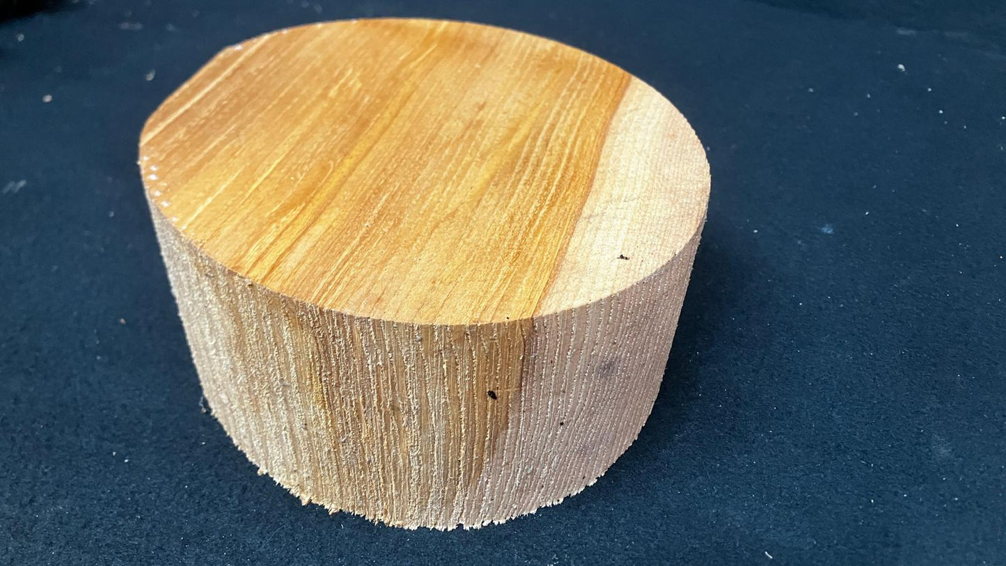 A Grade dry 7.5" x 3.5" olive ash, large wood turning blank  (915)