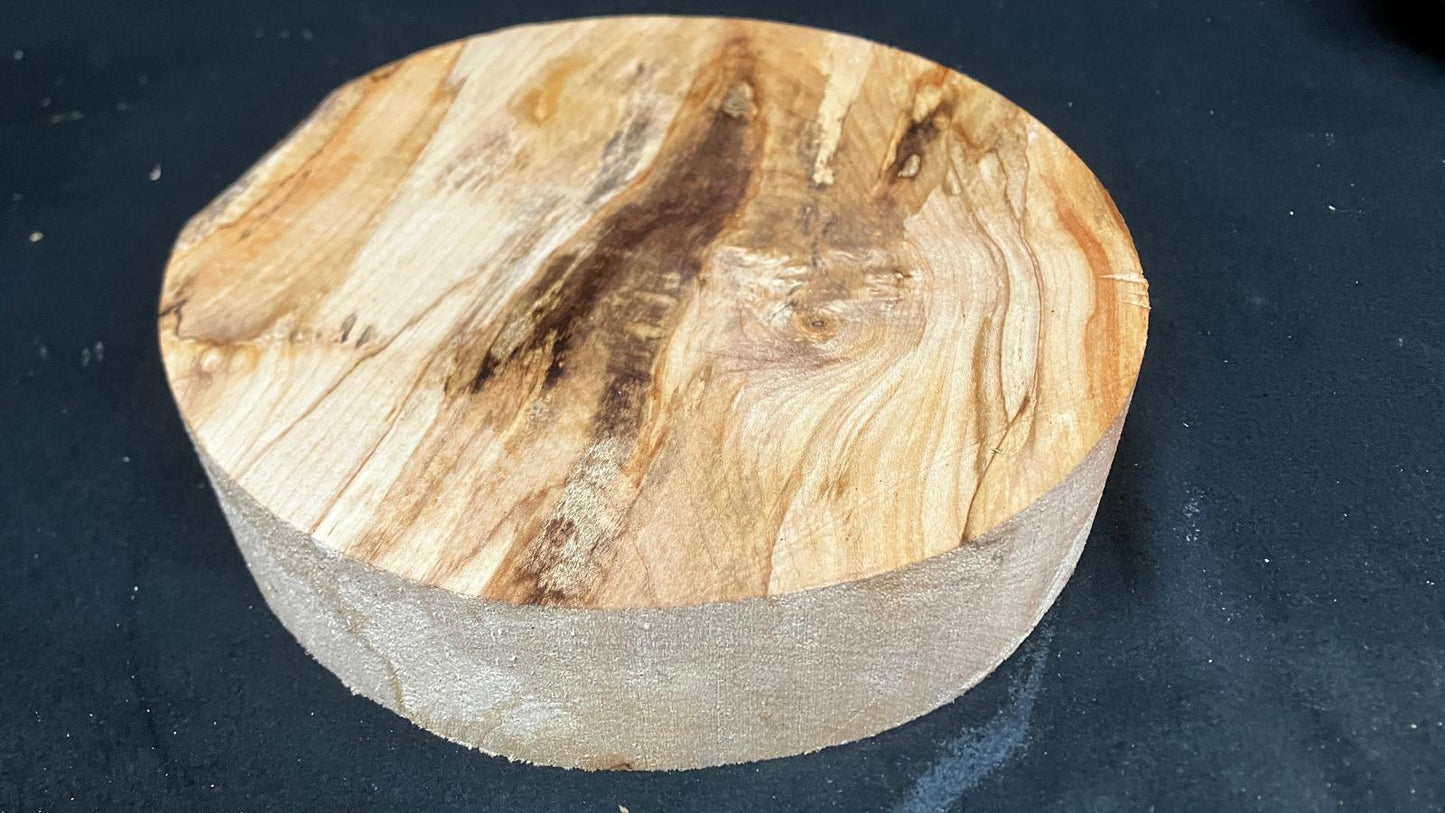 A Grade dry 11" x 2.5" Sycamore wood turning blank  (918)