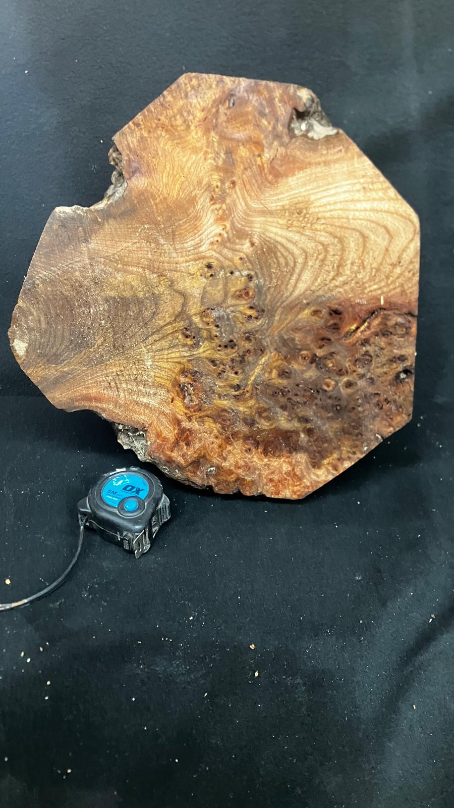 Large Dry Elm Burr 12" x 9"      (919)