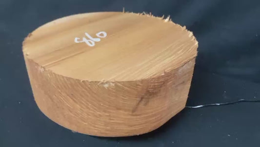 A Grade dry 10 3/4" x 4" olive ash, large wood turning blank  (860)