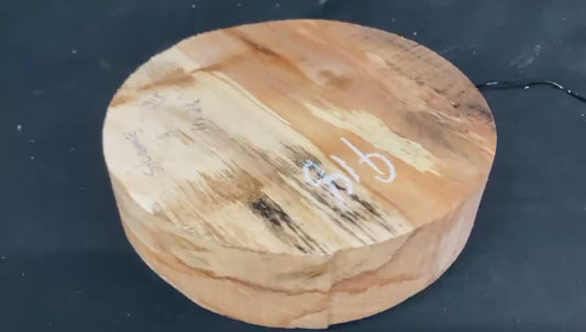 A Grade dry 11" x 2.5" Sycamore wood turning blank  (918)