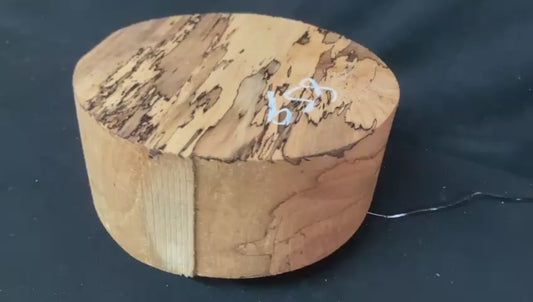 B Grade dry 10" x 4.1/4" spalted beech, large wood turning blank  (859)