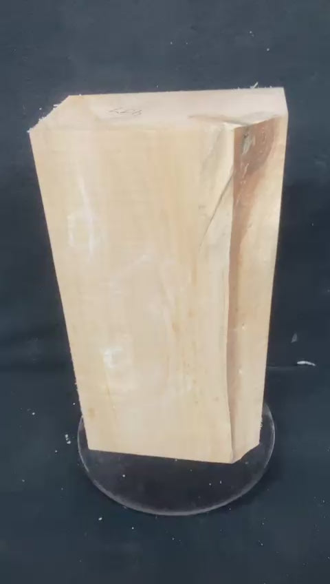 Lime block for woodcarving or sculpting 309 L x 160 W x 87 D (mm)    (907)