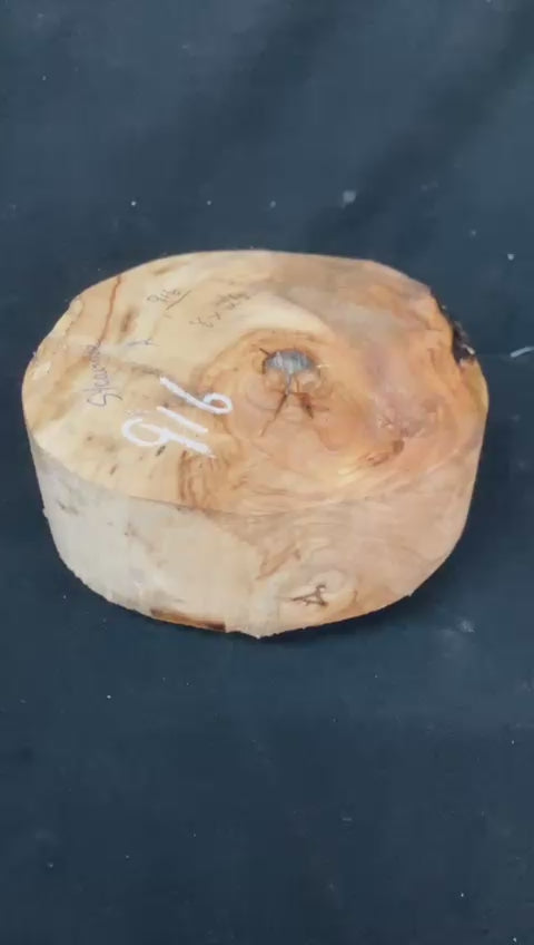 A Grade dry 8" x 2.5" Sycamore wood turning blank  (916)