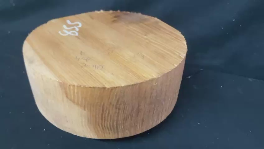 A Grade dry 10" x 3.3/4" olive ash, large wood turning blank  (855)