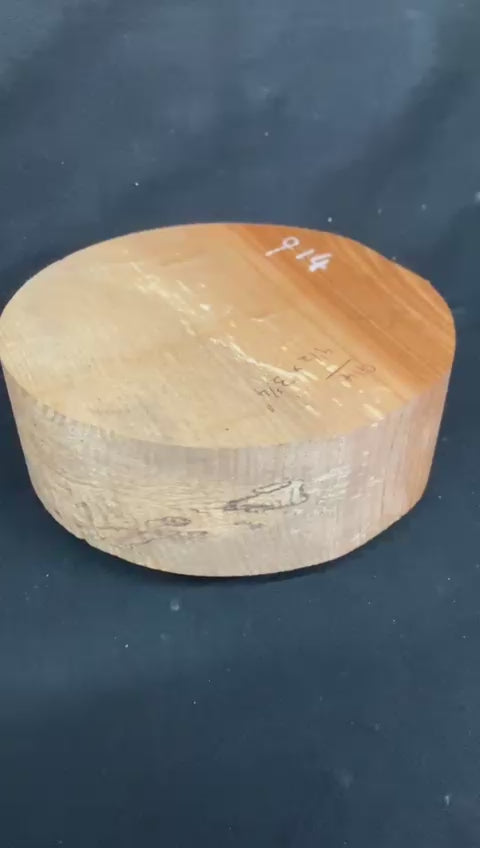 A Grade dry 9.5" x 3 3/4" olive ash, large wood turning blank  (914)